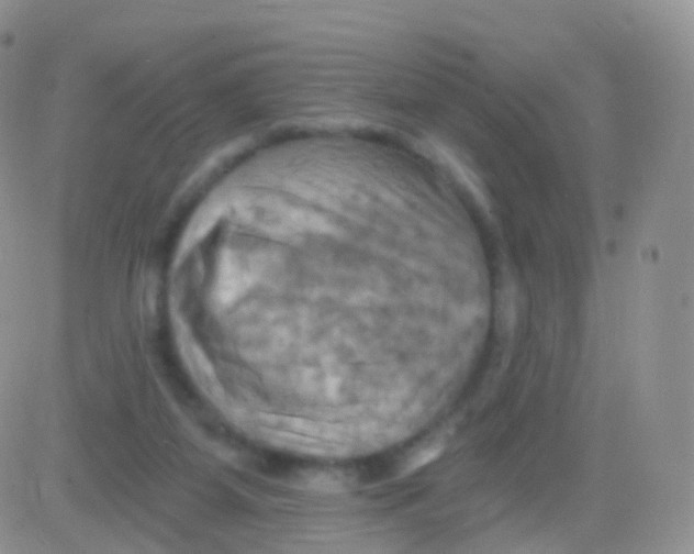 X0000083040115200702231940