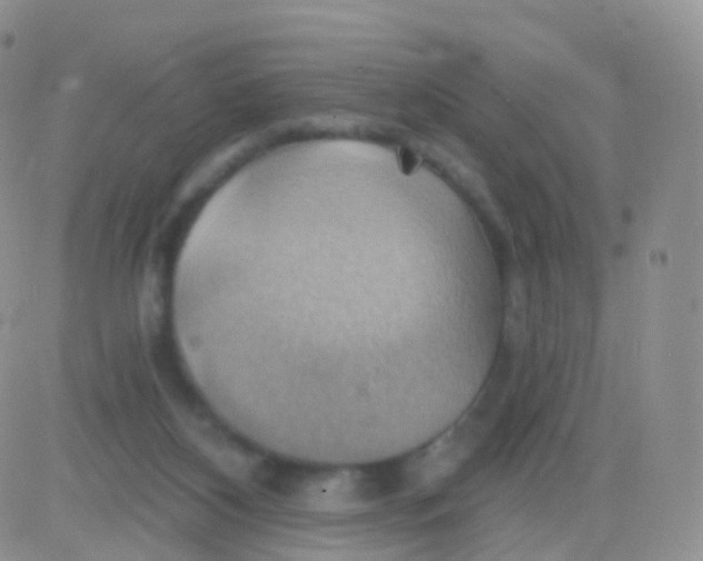 X0000083040116200702231940