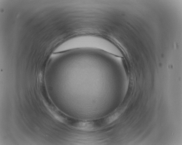 X0000083040117200702231940