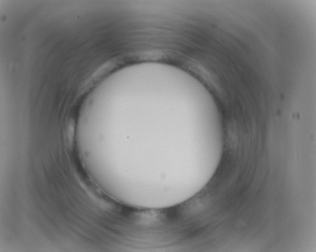 X0000083040118200702231939