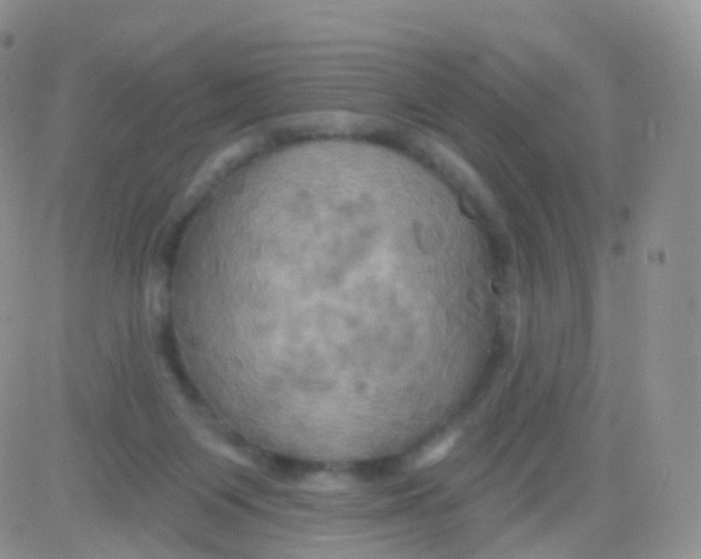 X0000083040119200702231939