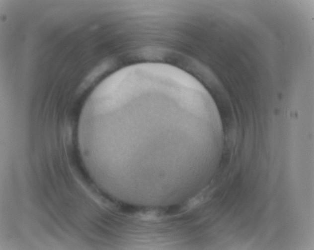 X0000083040120200702231939