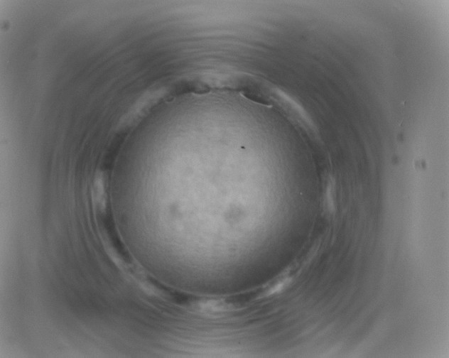 X0000083040121200702231939