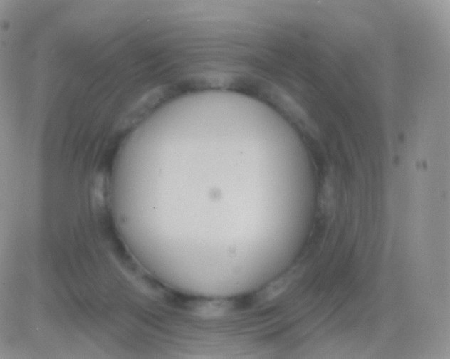 X0000083040122200702231939