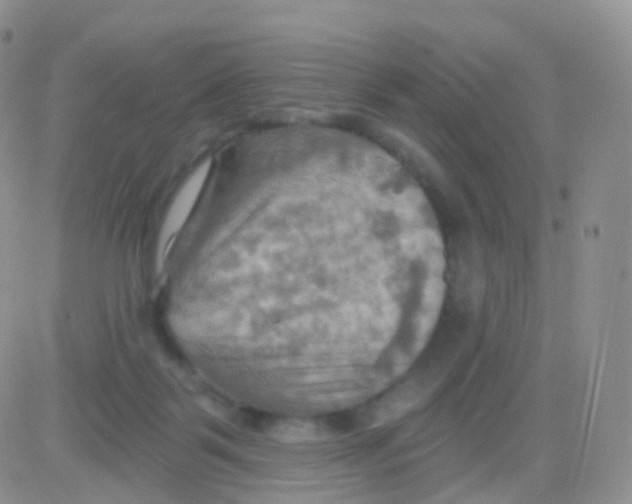 X0000083040123200702231939