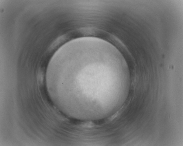 X0000083040124200702231939