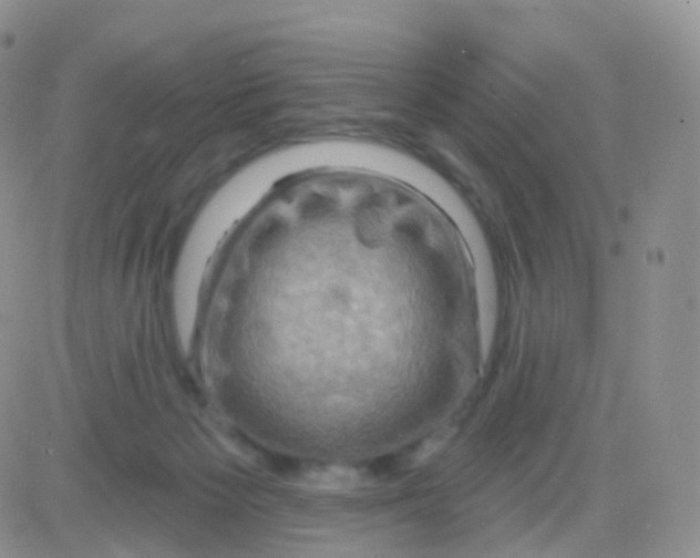 X0000083040125200702231939