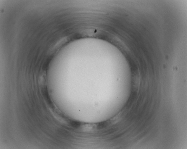 X0000083040126200702231939