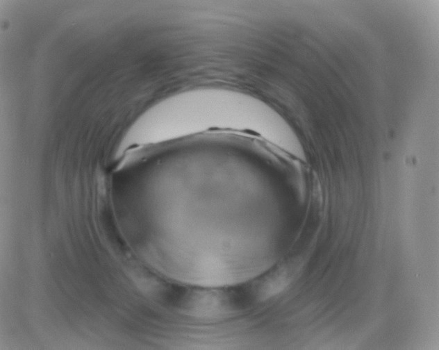 X0000083040127200702231939