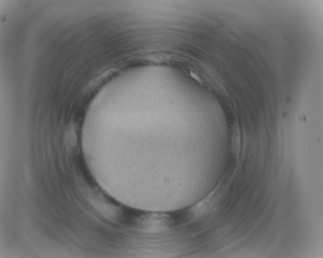 X0000083040128200702231939