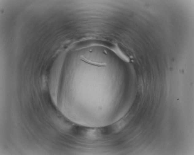 X0000083040130200702231939