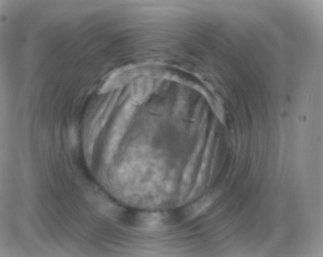 X0000083040131200702231939