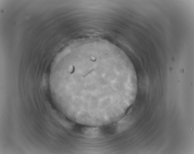 X0000083040132200702231939