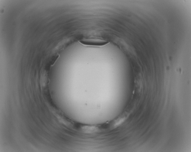 X0000083040133200702231939