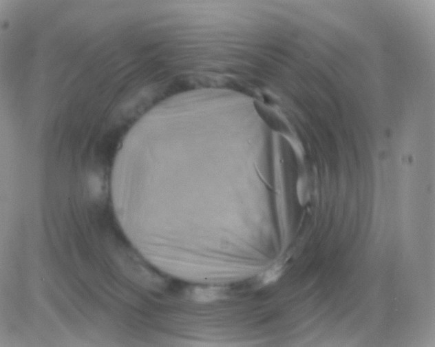 X0000083040134200702231939