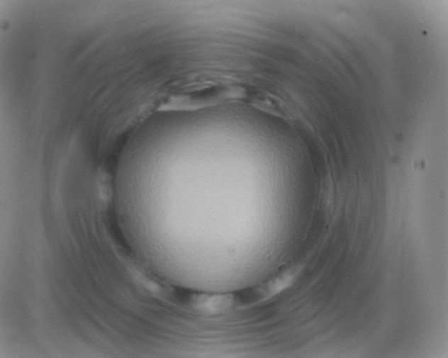 X0000083040135200702231939