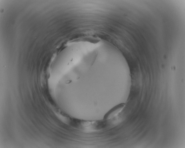 X0000083040136200702231939