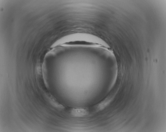 X0000083040137200702231939