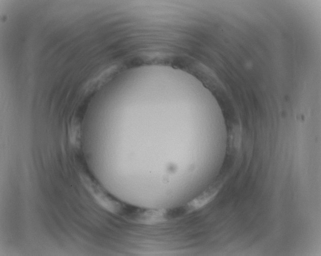 X0000083040138200702231939