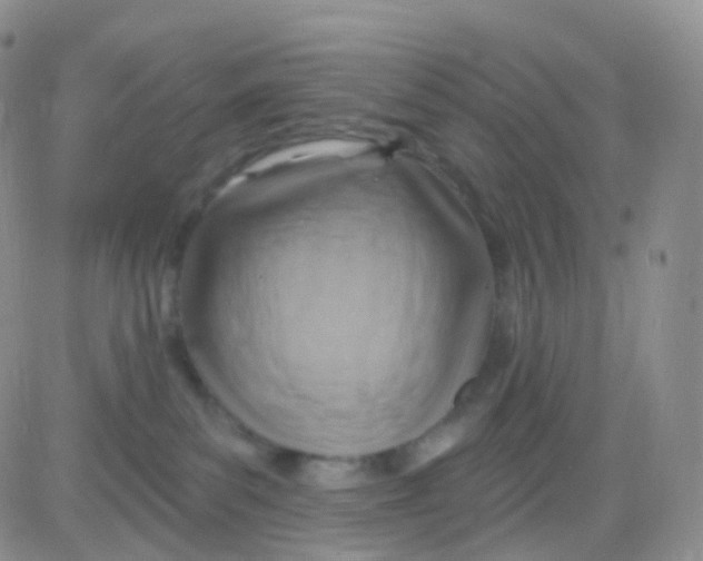 X0000083040139200702231939