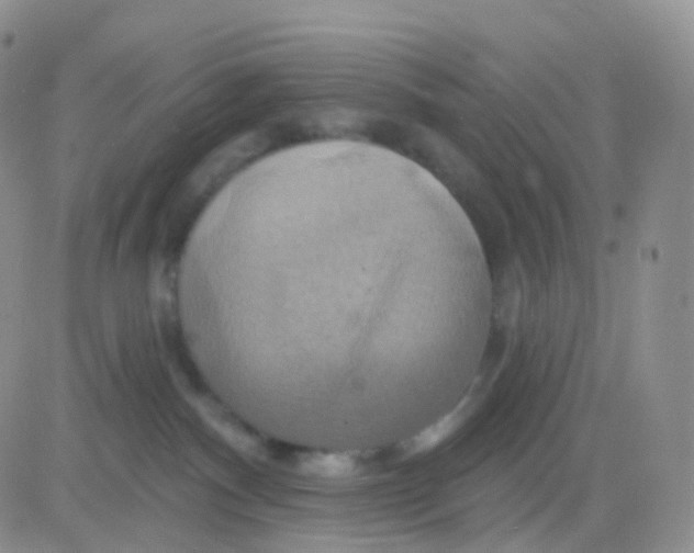 X0000083040140200702231939