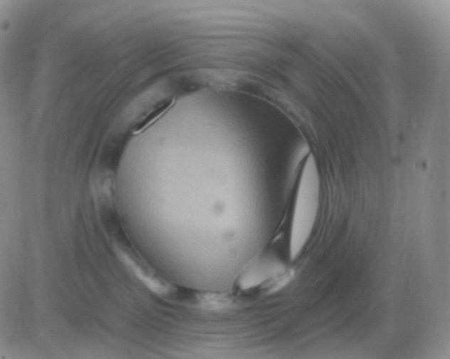 X0000083040141200702231939