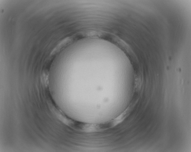 X0000083040142200702231939