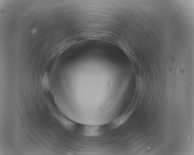 X0000083040143200702231939