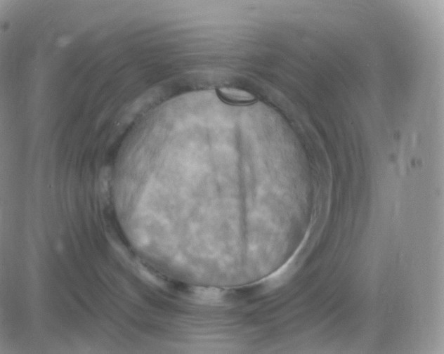 X0000083040144200702231939