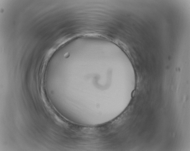 X0000083040145200702231938