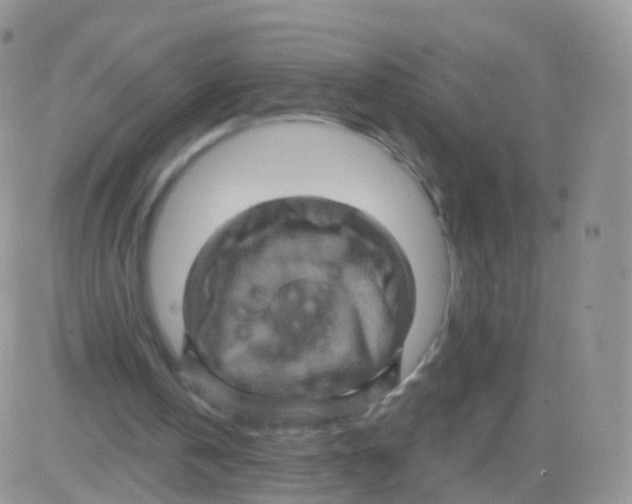 X0000083040146200702231938