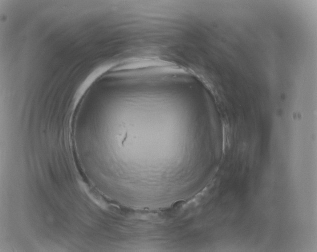 X0000083040147200702231938