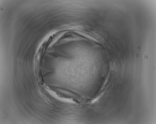 X0000083040148200702231938