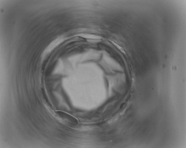 X0000083040149200702231938