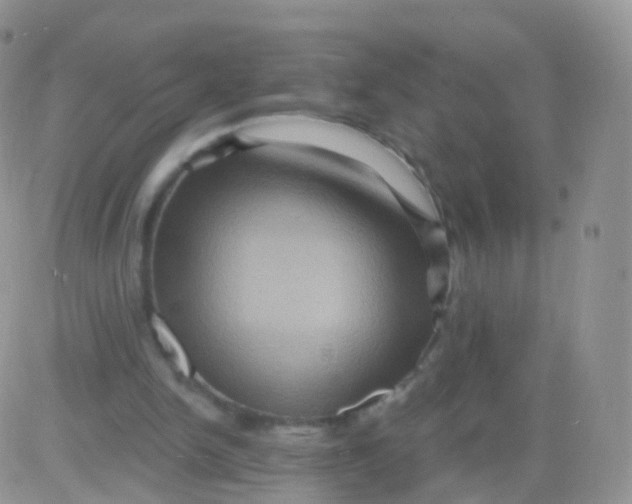 X0000083040150200702231938