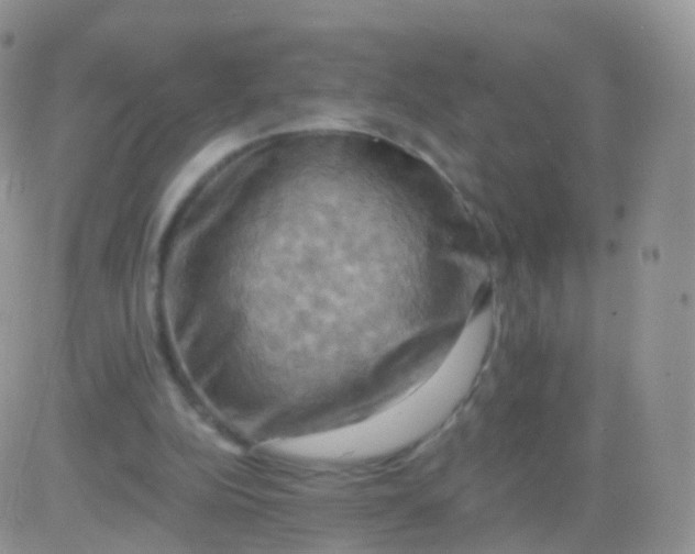 X0000083040152200702231938