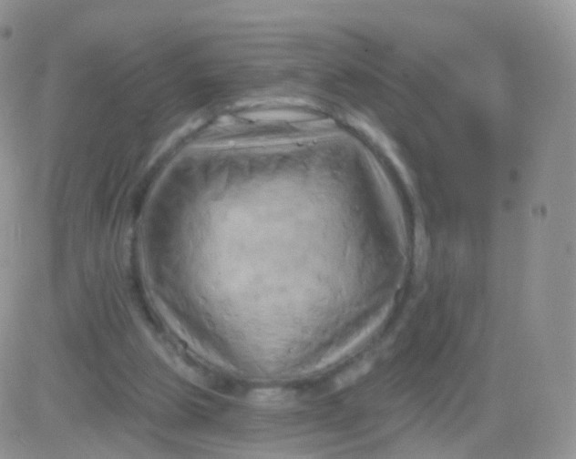 X0000083040153200702231938