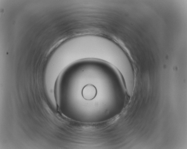 X0000083040154200702231938