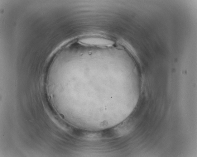 X0000083040155200702231938