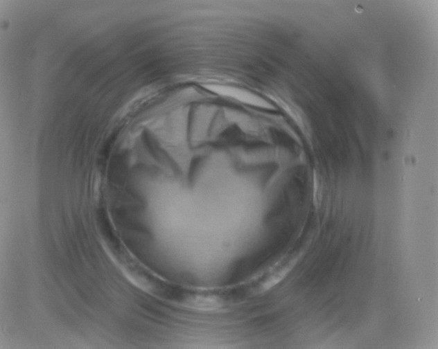 X0000083040157200702231938