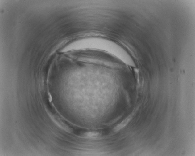 X0000083040158200702231938