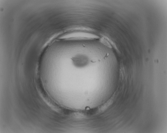 X0000083040159200702231938