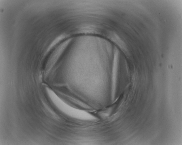 X0000083040160200702231939