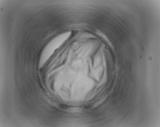 X0000083040161200702231939