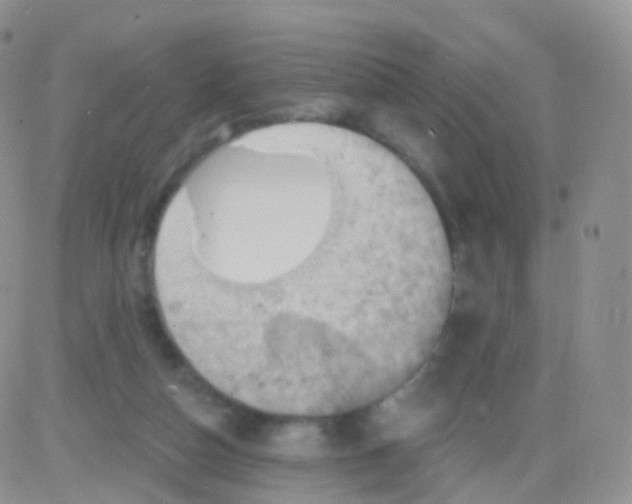 X0000083040162200702231939