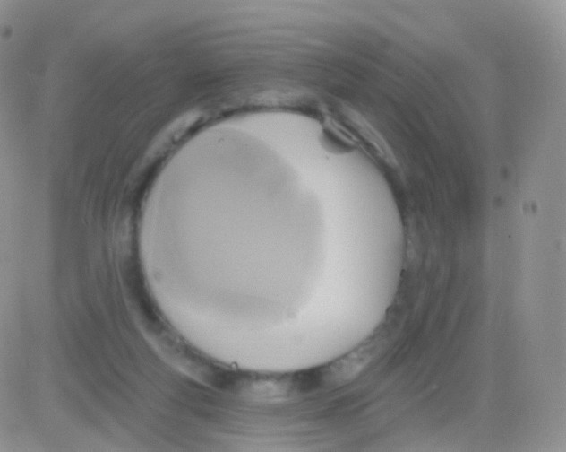 X0000083040163200702231939