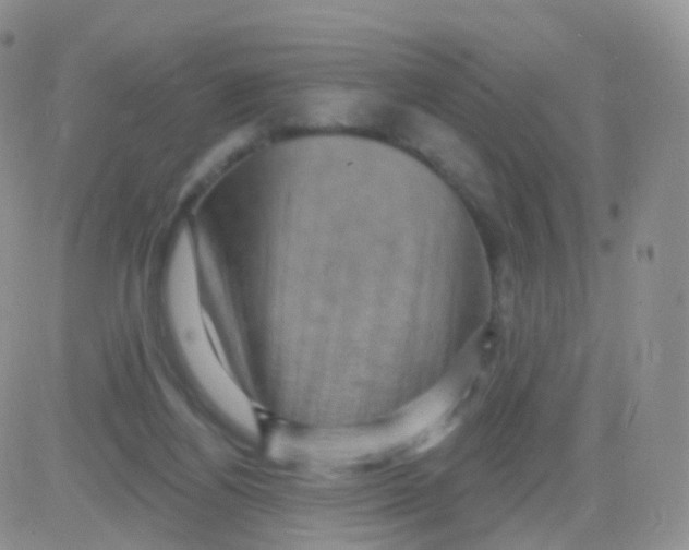 X0000083040164200702231939