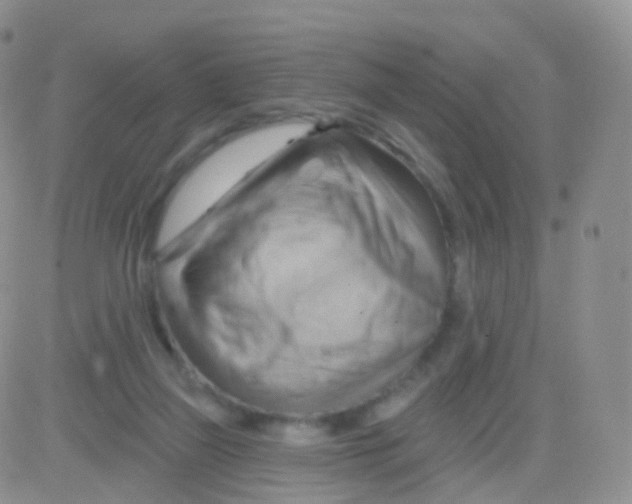 X0000083040165200702231939