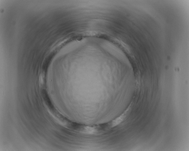 X0000083040166200702231939