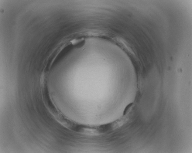 X0000083040167200702231939